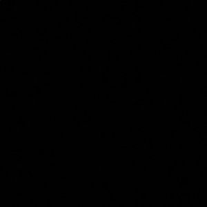 Meet your Posher, Jorge